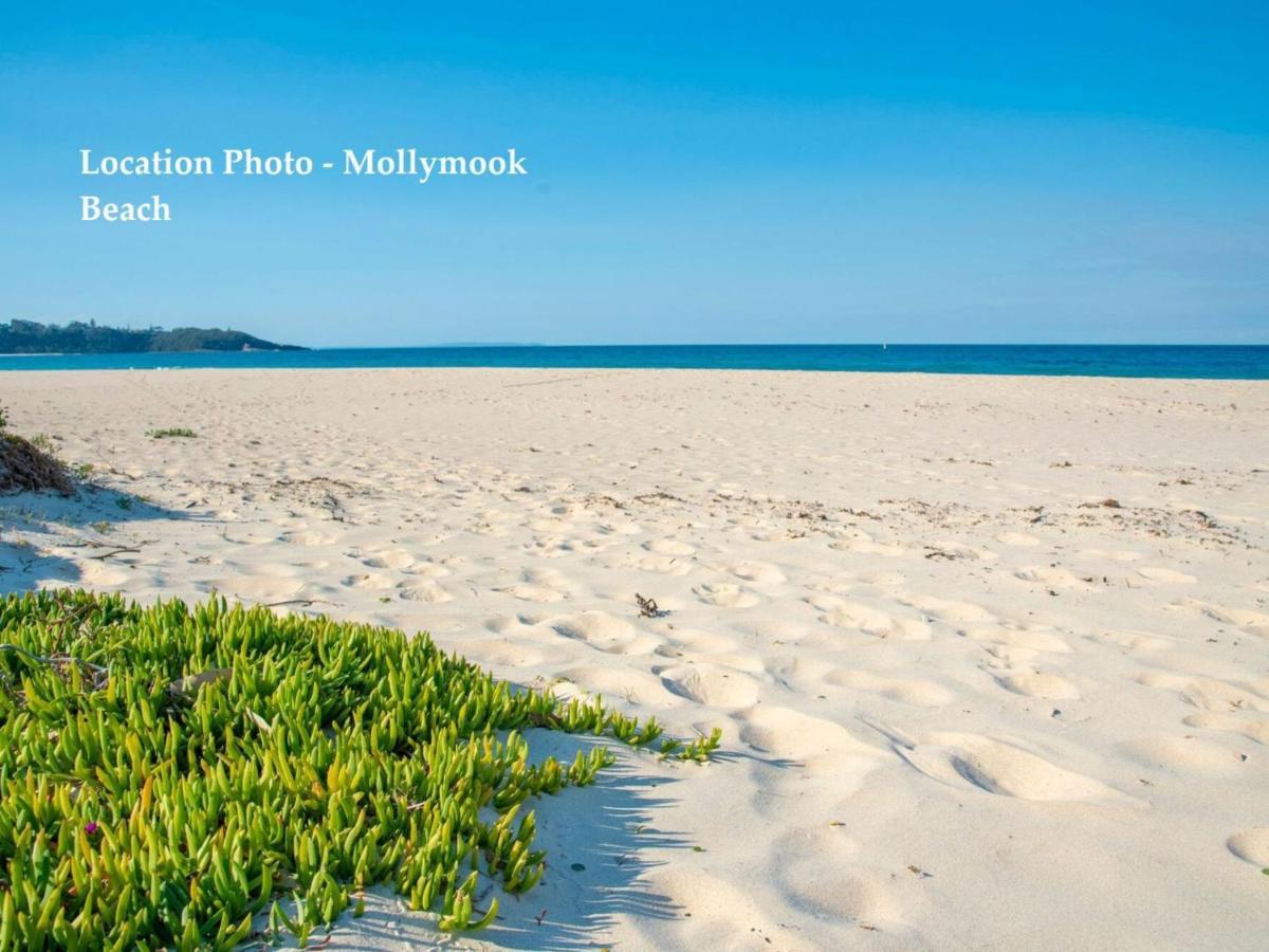 Ocean Cove Apartment Mollymook Exterior photo